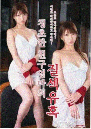 杀破狼小说·电影版